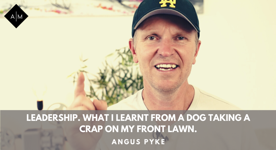 Leadership. What I learnt from a dog taking a crap on my front lawn.